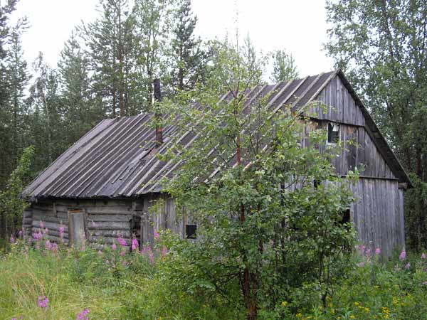 Размещенное изображение