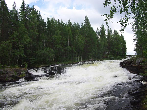 Размещенное изображение