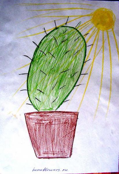 3-е место. Саша (4 года) - Дедушка любит кактус. Потому что другого названия цветов он не знает. И ещё говорит, что он (кактус) на него похож.