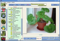 Скриншот программы Моя оранжерея