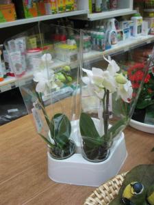 goetting_09_14__021.jpg