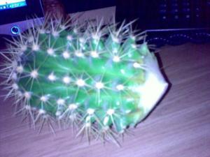 22022010377.jpg