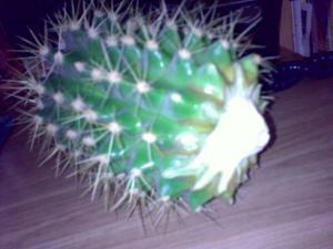 27022010378.jpg