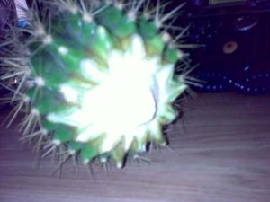 27022010379.jpg