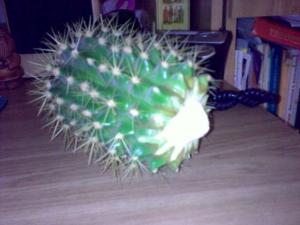 27022010380.jpg