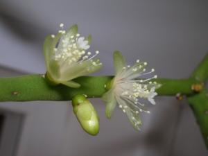 DSCN3951.JPG