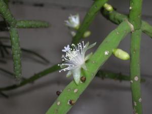 DSCN3943.JPG