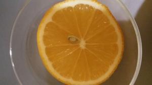 20160205_233021.jpg