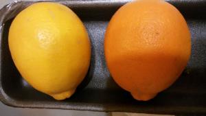 20160205_232748.jpg