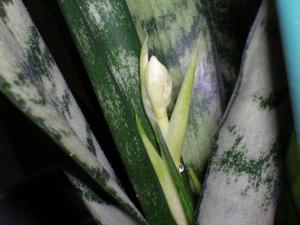 LUDSCN0011.JPG