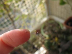 for_2410.jpg