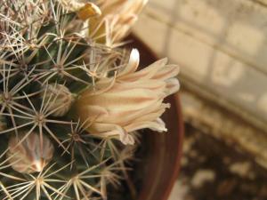 for_2420.jpg