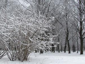 2012032757056_snow_in_March.JPG