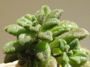 IMG_7536_1.jpg