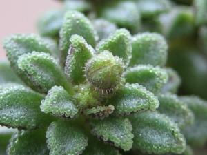 IMG_8673_1.jpg