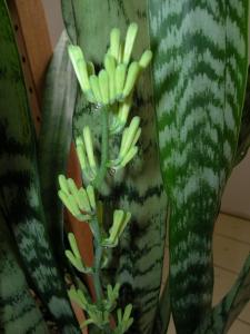 DSCN0428.JPG