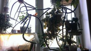 IMAG2127 (3)_641x361.jpg