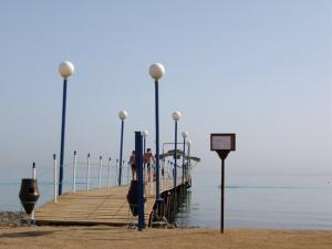 IMG_3767.jpg