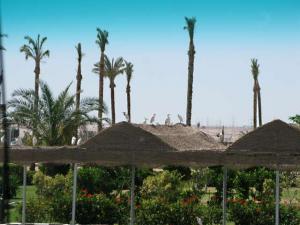 IMG_3885.jpg