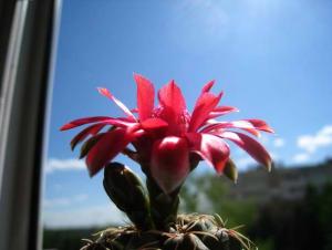 IMG_5746.jpg