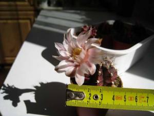 IMG_5612.jpg