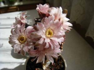 IMG_5680.jpg
