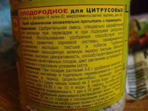 комплексный палисад 2.jpg