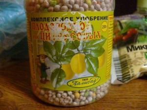 комплексный палисад.jpg