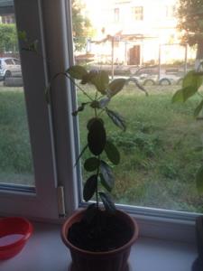 IMG_1301.JPG
