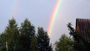 IMG_1663Rainbow.jpg