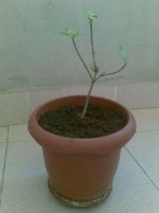 26072011.jpg