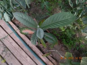 DSCN8641.jpg