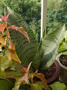 Lena_090809_05.jpg
