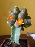DSC00280.JPG