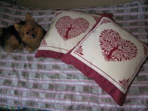 IMG_3131Pillows_.jpg