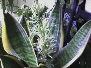 06_08_06_1854.jpg