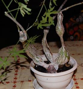 21_10_12-015.jpg