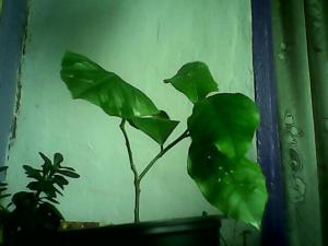 rps20131001_205358_691.jpg
