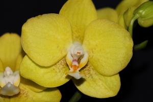 IMG_8857.JPG