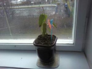 Photo_0005.jpg
