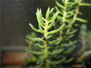 955c0cd409b0.jpg