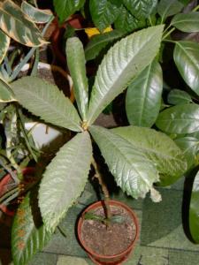 DSCN9309.jpg
