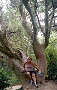 arbutus000000.jpg