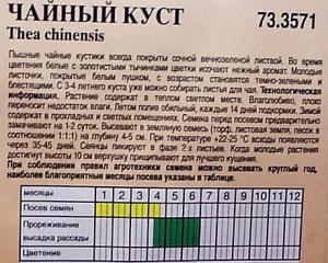 P1060137.jpg