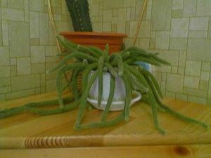 050314_172850.jpg
