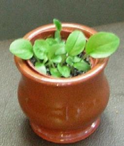 DSCN0860.JPG