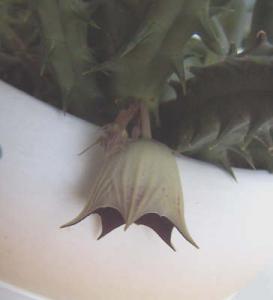 PICT0012.JPG