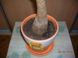 DSCN3099.JPG
