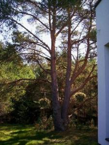 st101_3155.jpg