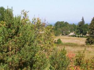 st101_3165.jpg